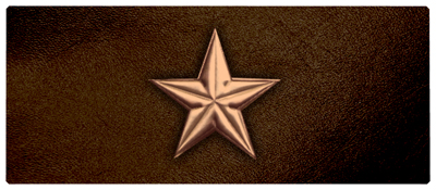 DNSEMP-L-430-BZ-BR Star Bronze-Brown